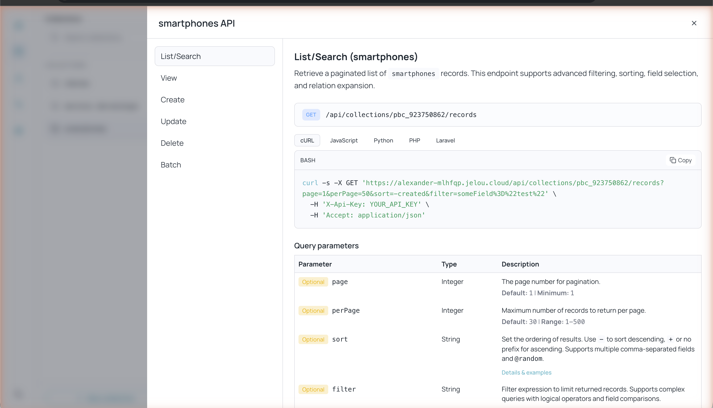 Panel API Preview mostrando endpoints List/Search, View, Create, Update, Delete y Batch con ejemplos en cURL