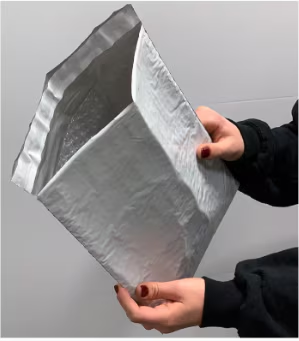 Example of bubble mailer with internal padding