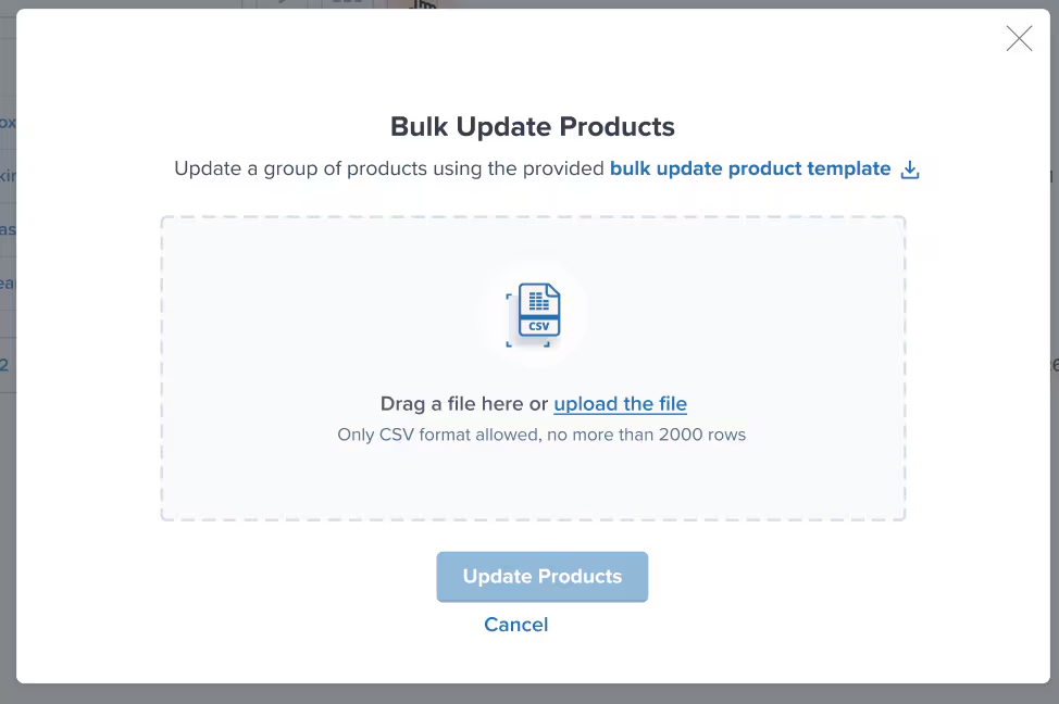 Bulk Update Products dialog with template download link