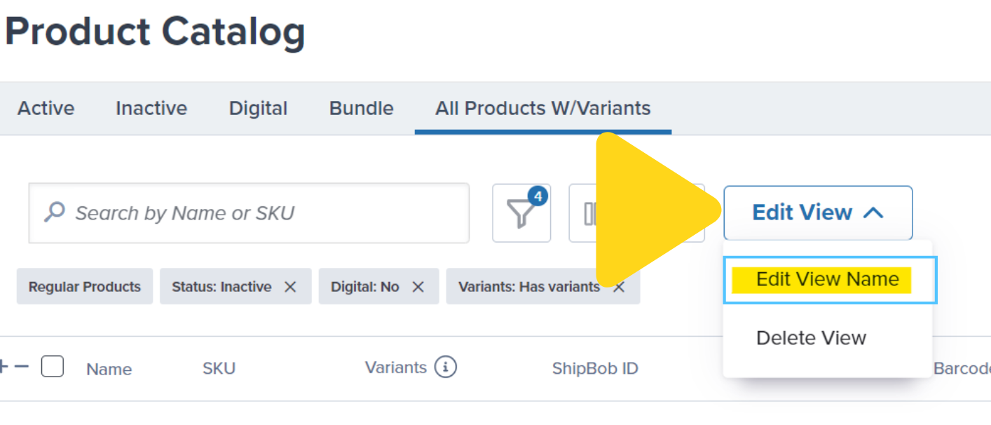 Edit View Name dialog showing current view name
