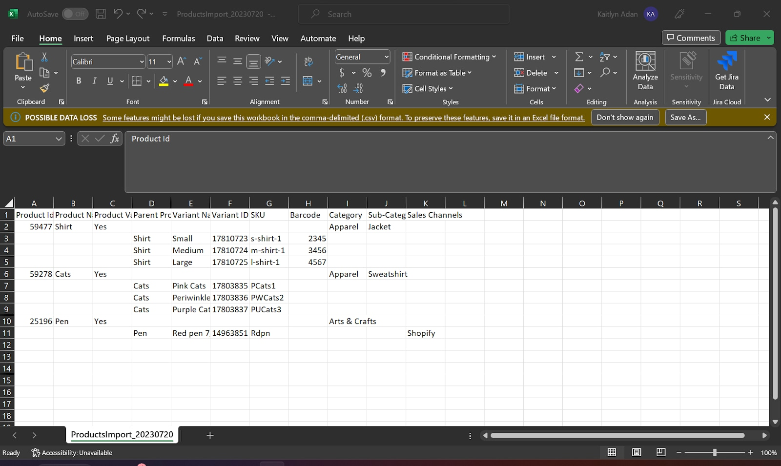 Exported product catalog data opened in Excel
