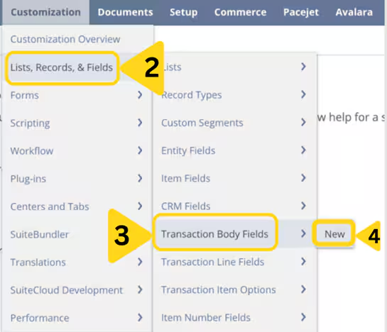 NetSuite Customization menu showing Lists, Records, & Fields and Transaction Body Fields navigation