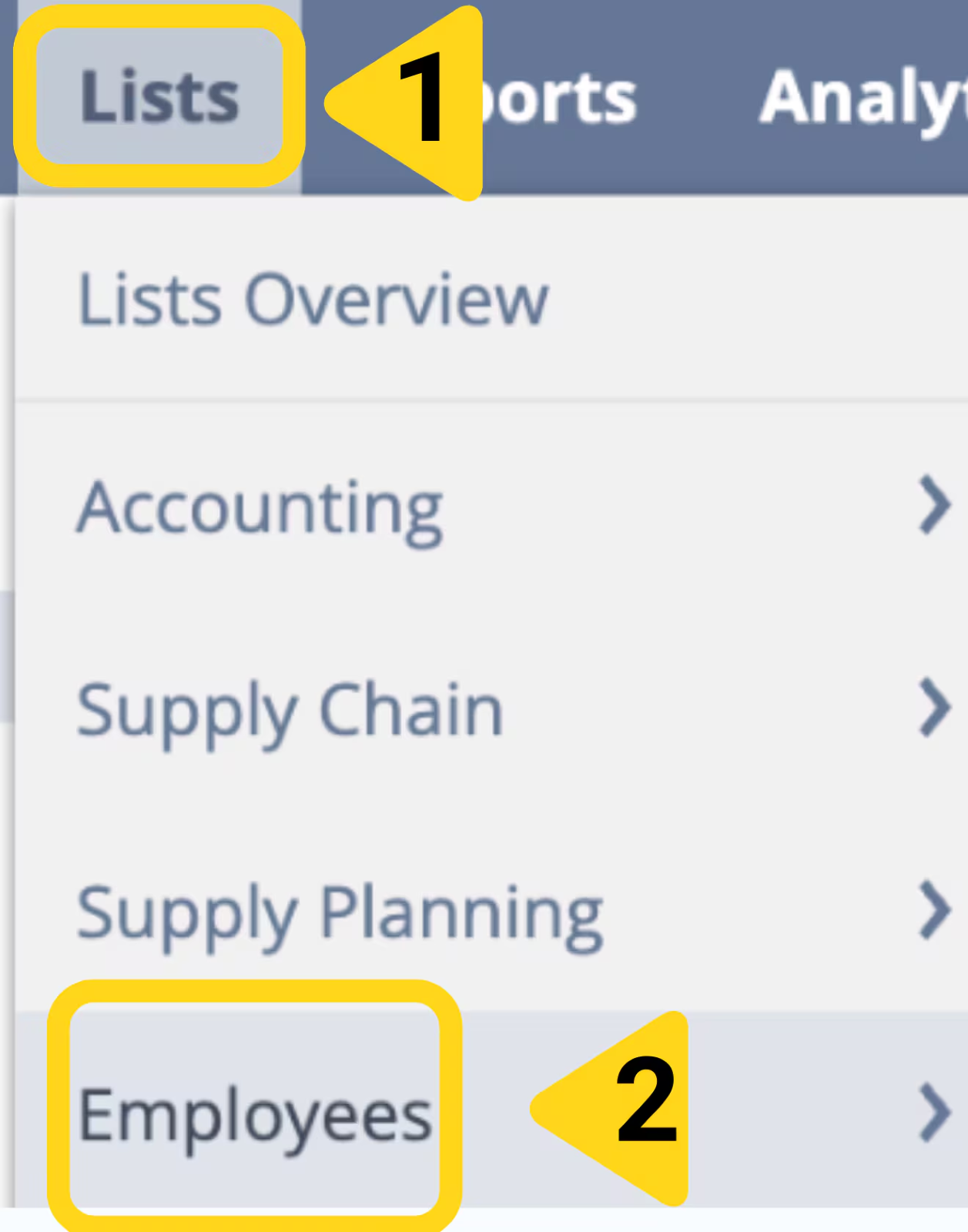NetSuite Setup menu showing Users/Roles > Manage Roles > New navigation path