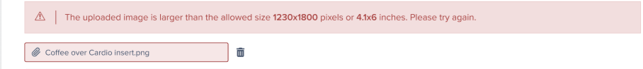 Red alert message indicating uploaded image is larger than allowed size of 1230x1800 pixels