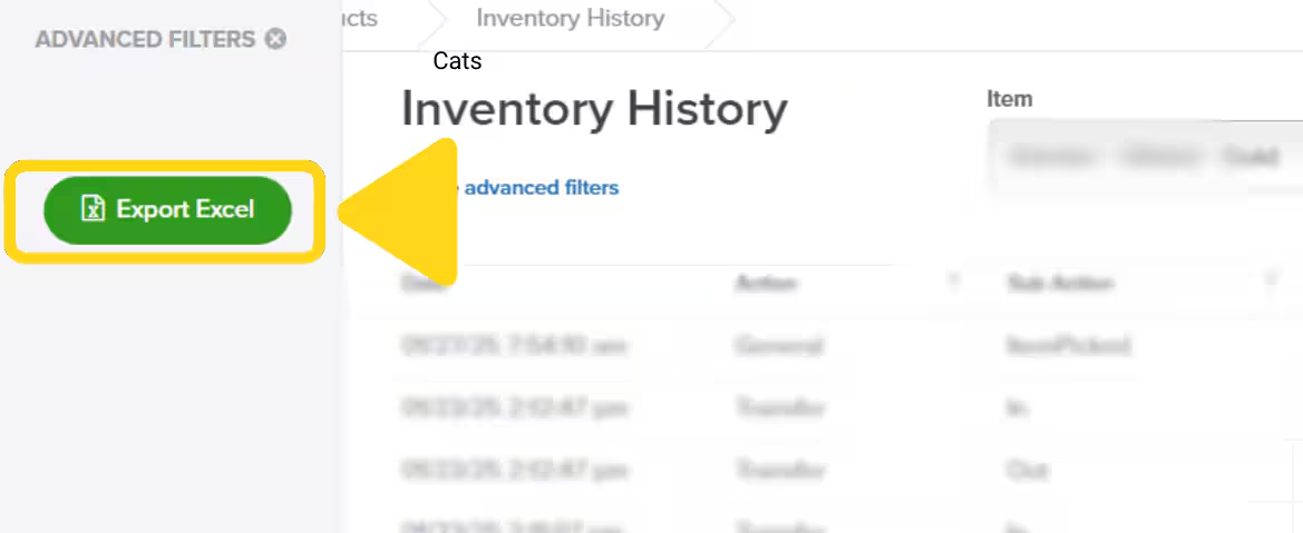 Advanced Filters panel showing Export Excel button