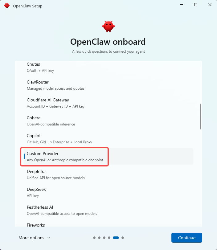 OpenClaw Custom Provider