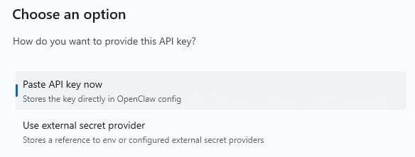 OpenClaw 填写 Key