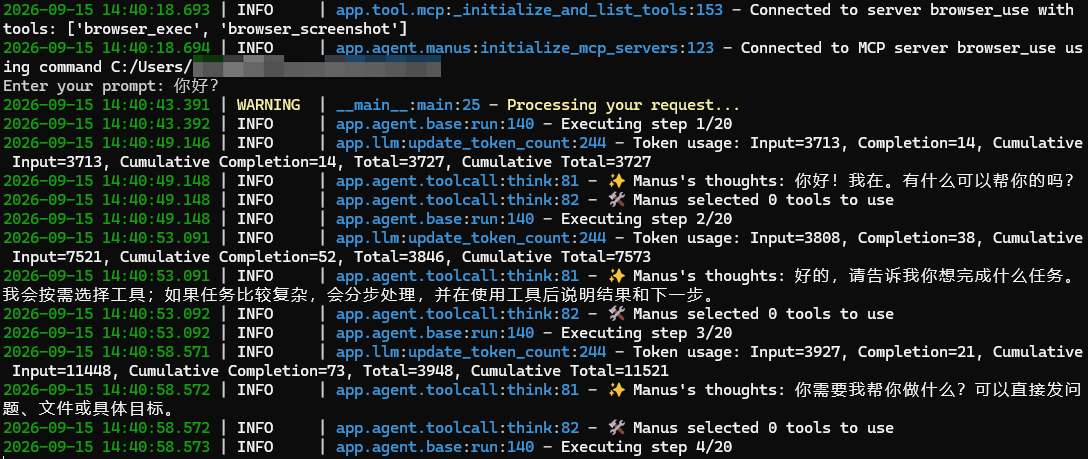 OpenManus 运行测试