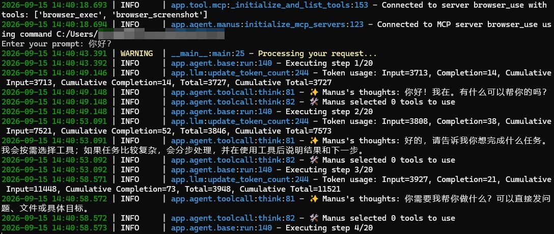 OpenManus 运行测试