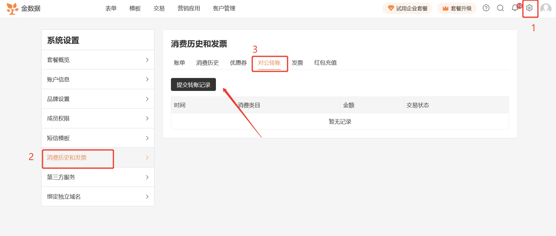 PC|套餐|系统设置消费历史和发票页面,顶部显示账单消费历史优惠券「对公转账」发票红包充值标签页,当前高亮对公转账标签,显示「提交转账记录」按钮,下方为转账记录表格包含时间消费类目金额交易状态列