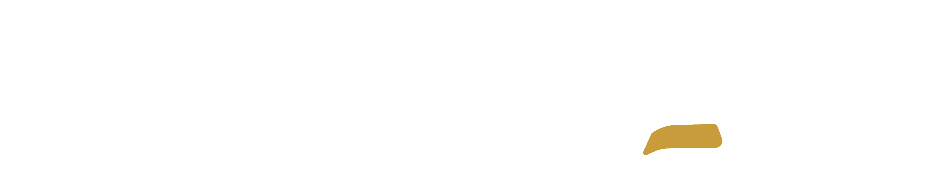dark logo