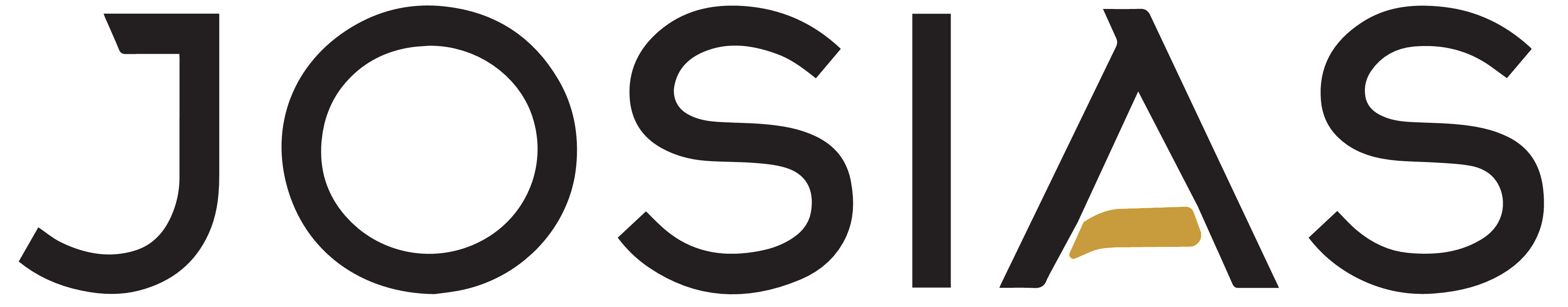 light logo