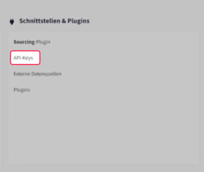Open API-Keys in Interfaces & Plugins.