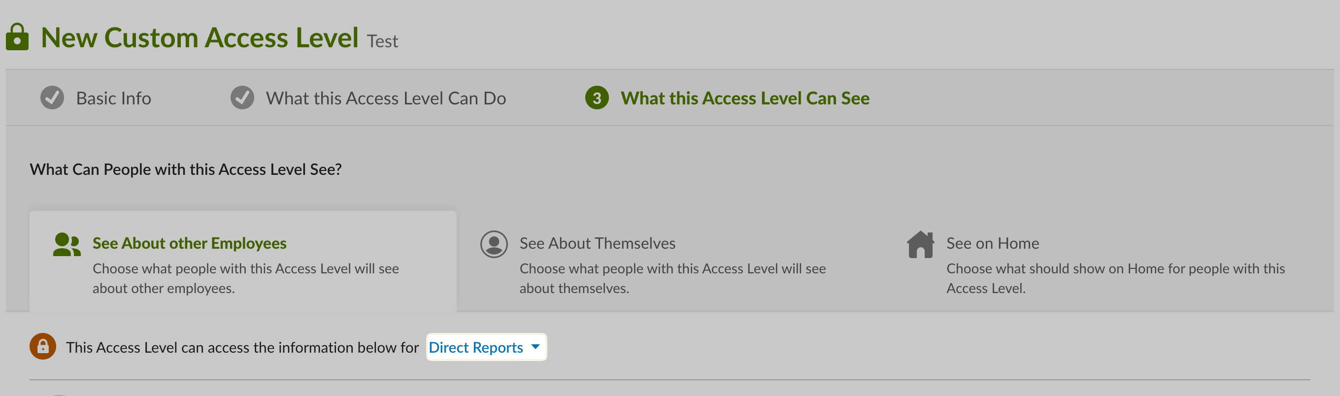 Direct Reports option under What this Access Level Can See