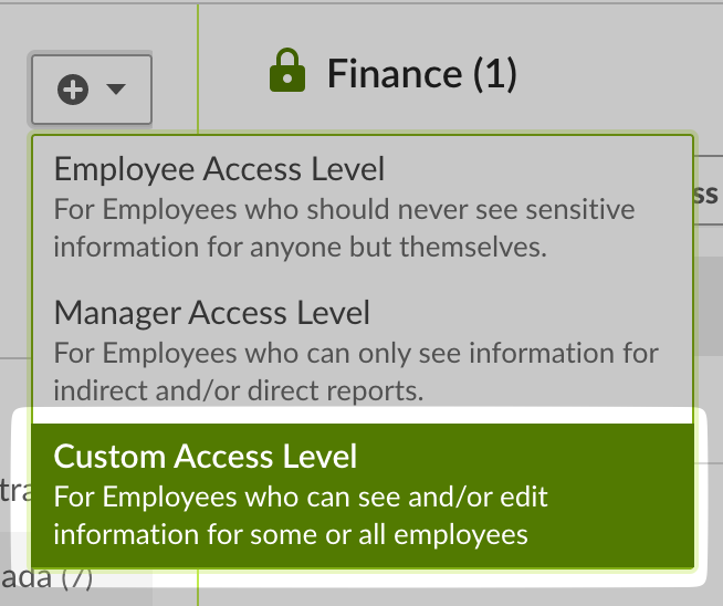 Custom Access Level option
