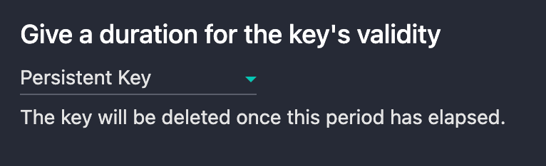 Selecting Persistent Key for the key validity
