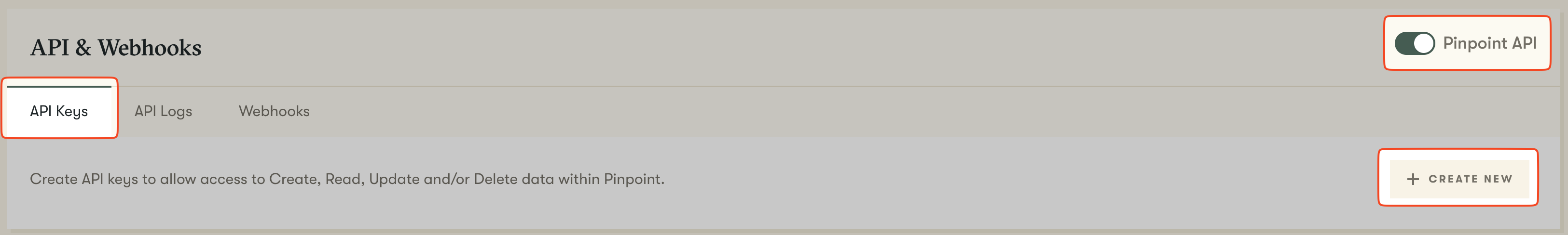 Pinpoint API toggle and CREATE NEW button