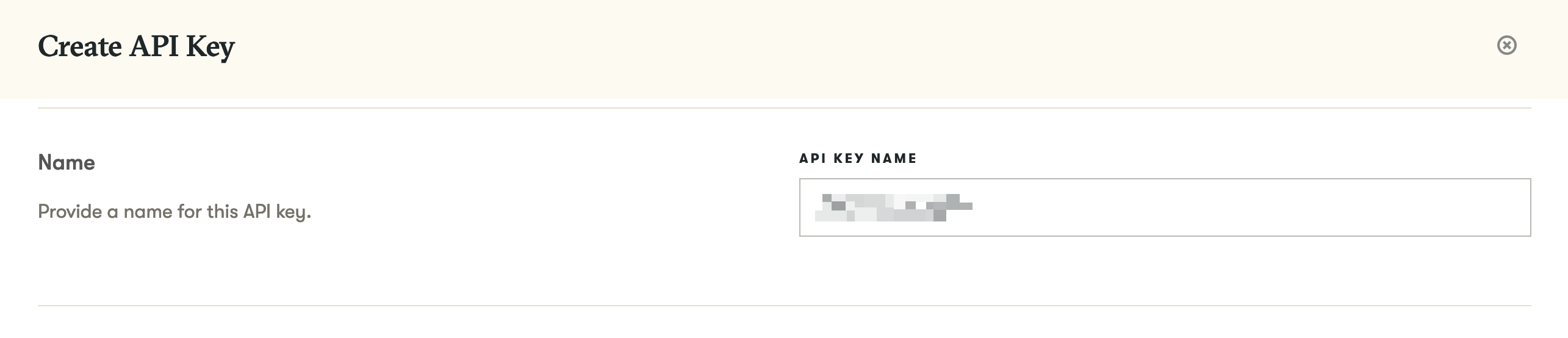 Naming the API key