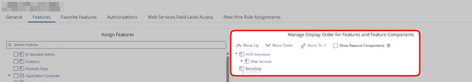 Features tab with the required permissions checked