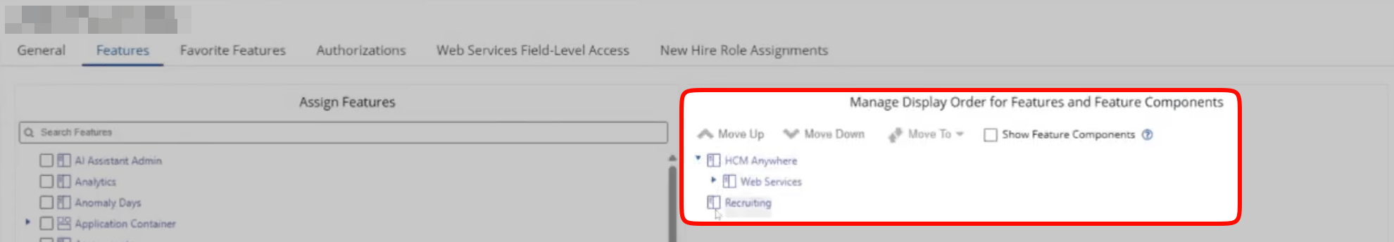Features tab with the required permissions checked