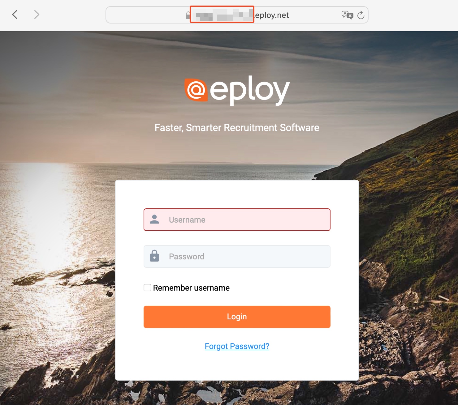 Finding the subdomain in the Eploy login URL