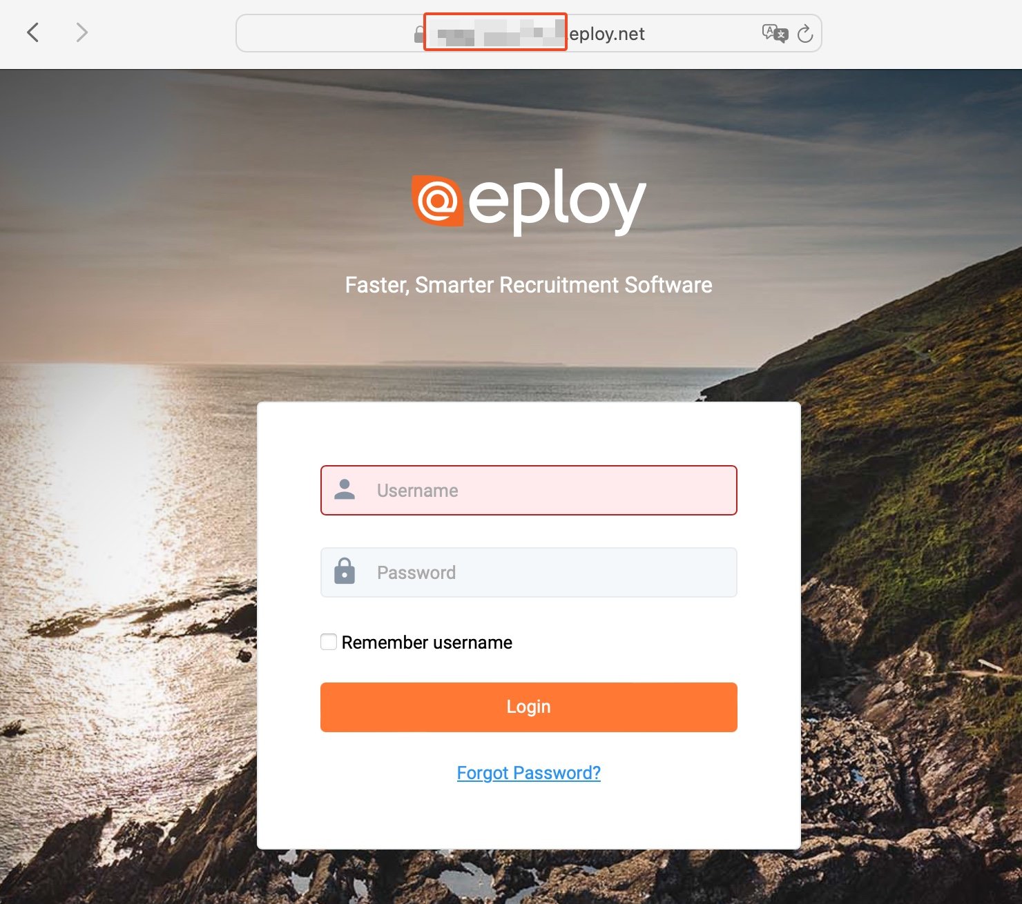 Finding the subdomain in the Eploy login URL