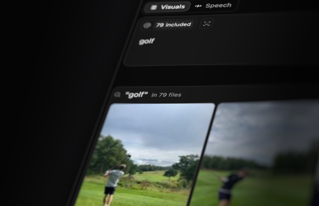 Visual search results for "golf" showing thumbnails across 79 files