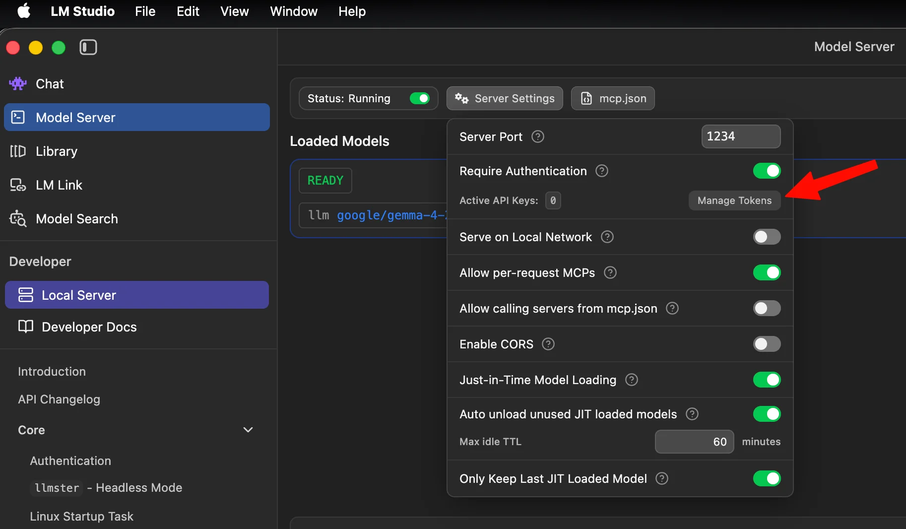 LM Studio Server Settings with Require Authentication turned on and the Manage Tokens button