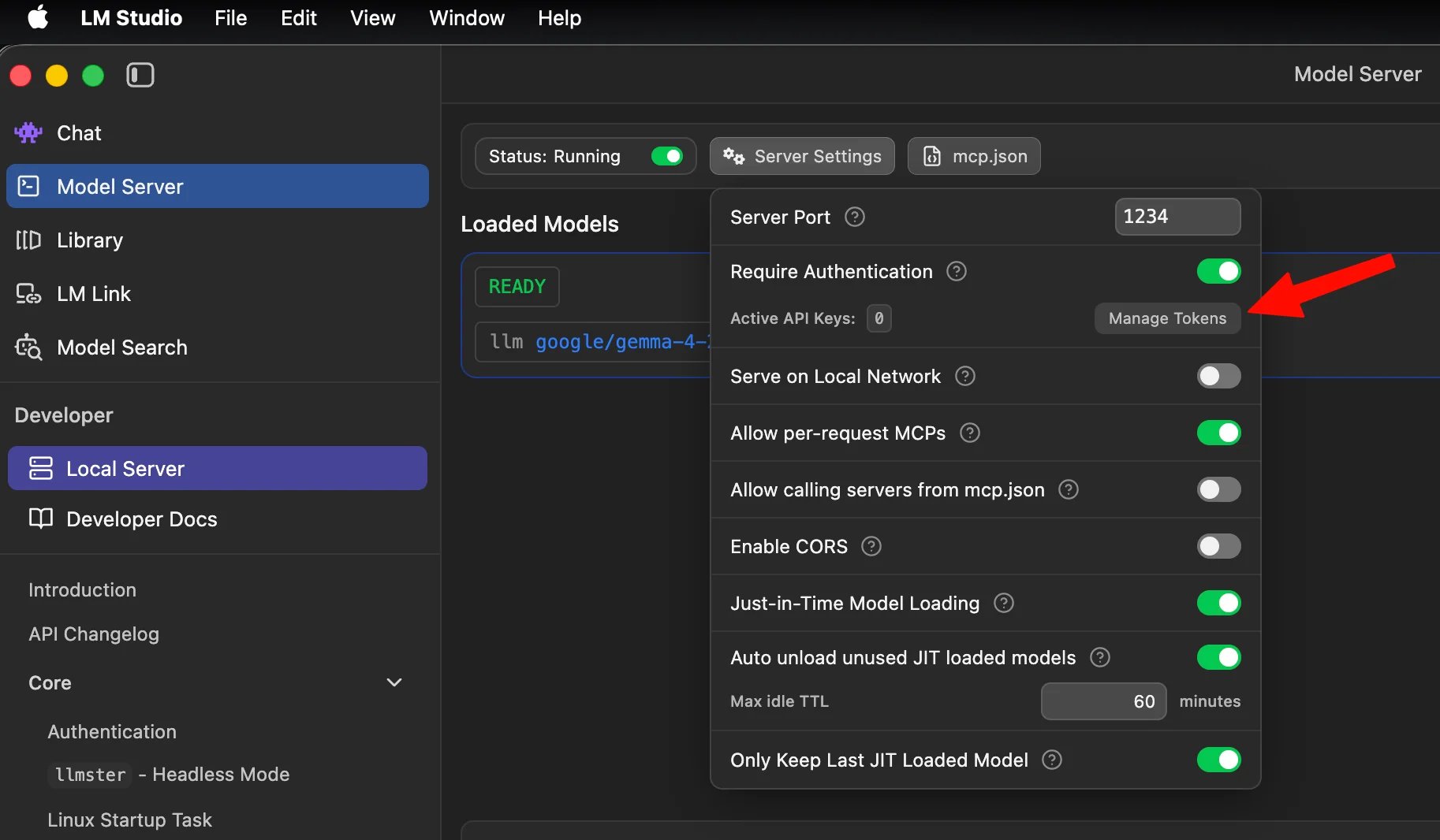 LM Studio Server Settings with Require Authentication turned on and the Manage Tokens button