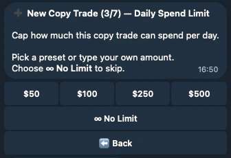 Daily spend limit selection with preset amounts