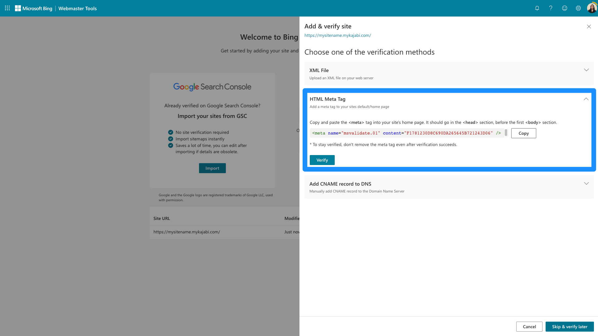 Bing HTML meta tag