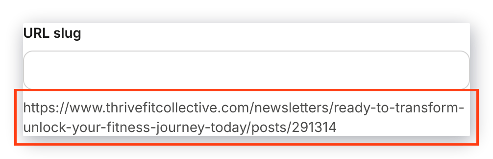 URL slug preview