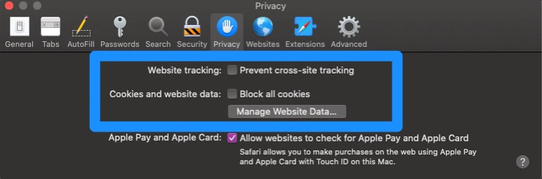 Safari privacy settings