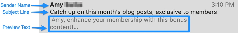 Email preview text example
