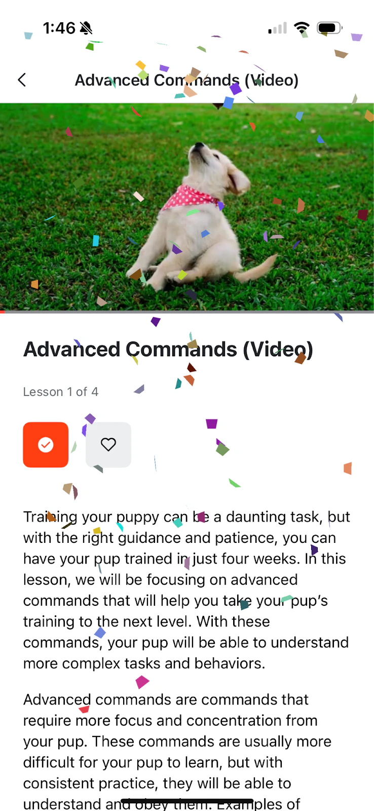 Confetti celebration