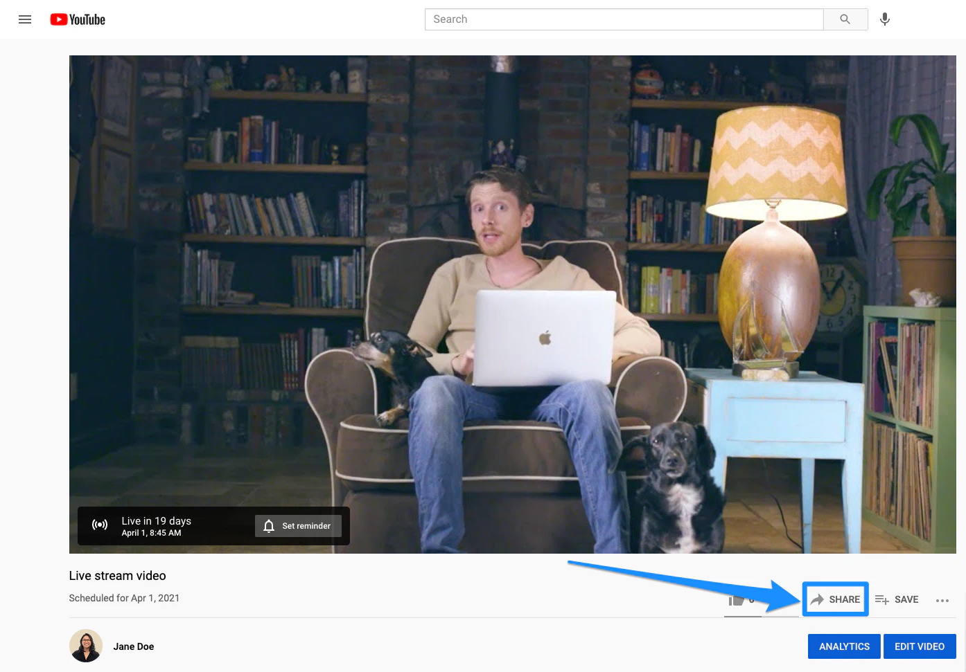 Copy YouTube embed code