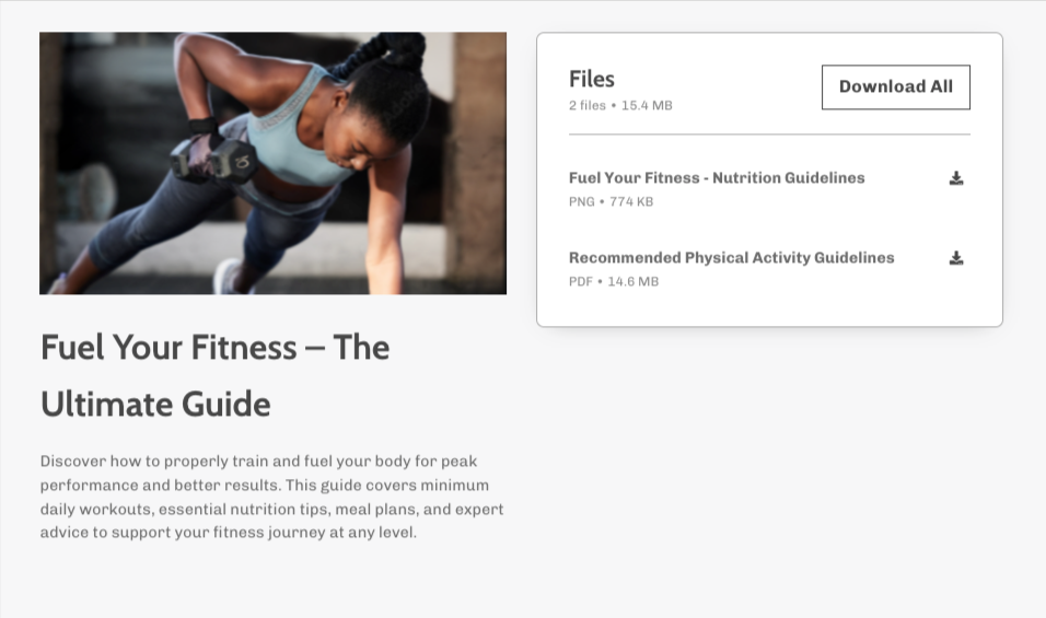 Fit3