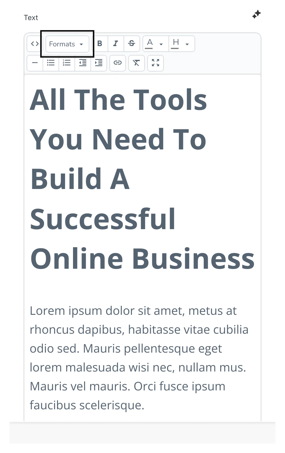 Formats in Editor.png