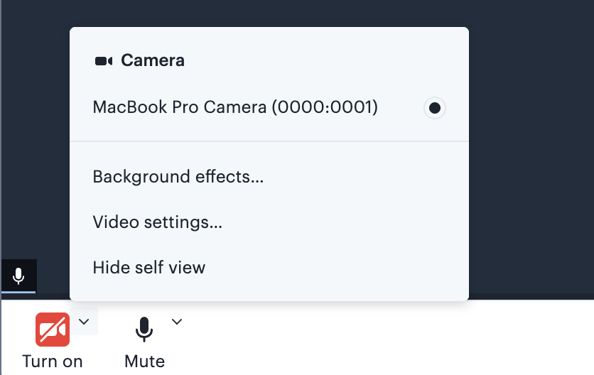 Camera options in a Course live session