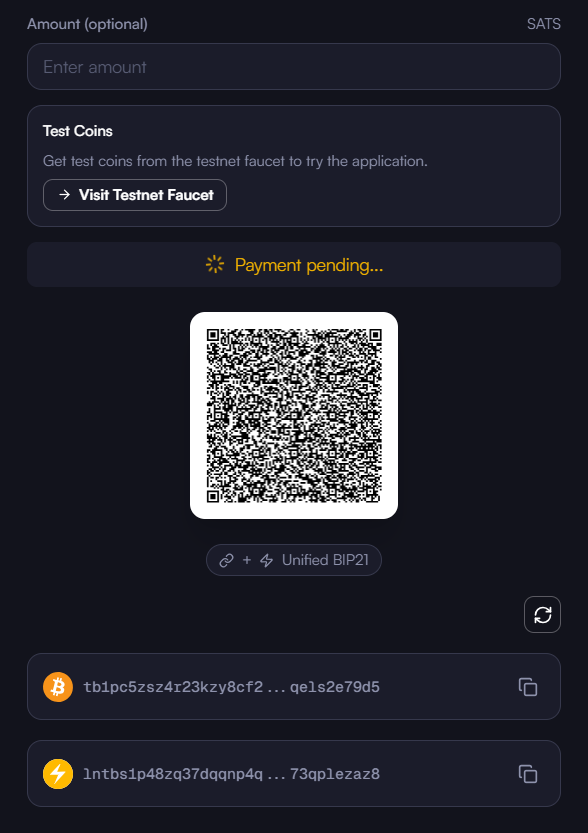 存入 BTC 界面，显示链上地址与二维码