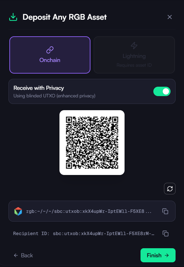 存入 RGB 资产界面