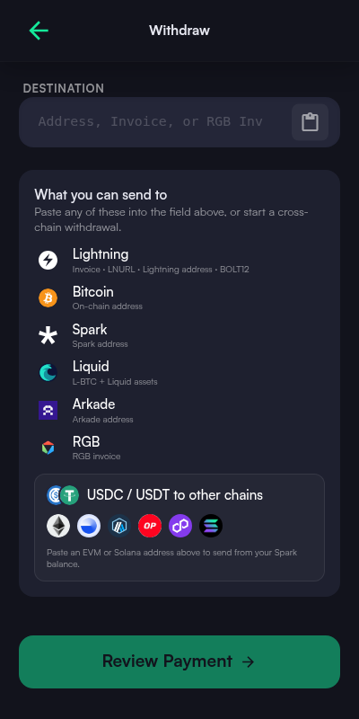 Withdraw screen listing every destination format it accepts: Lightning, Bitcoin, Spark, Liquid, Arkade, RGB, and cross-chain USDC or USDT