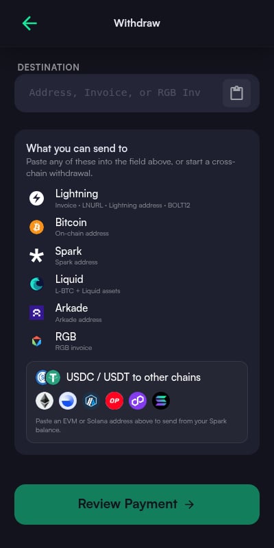 Withdraw screen listing every destination format it accepts: Lightning, Bitcoin, Spark, Liquid, Arkade, RGB, and cross-chain USDC or USDT