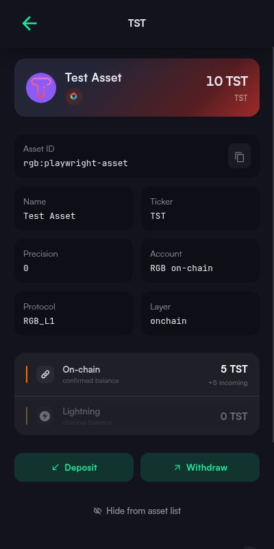 Asset detail view for an RGB asset showing asset ID, ticker, precision, account, protocol, layer, and on-chain versus Lightning balances