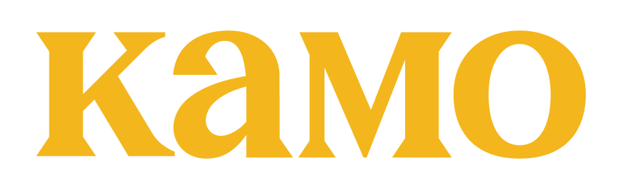 light logo