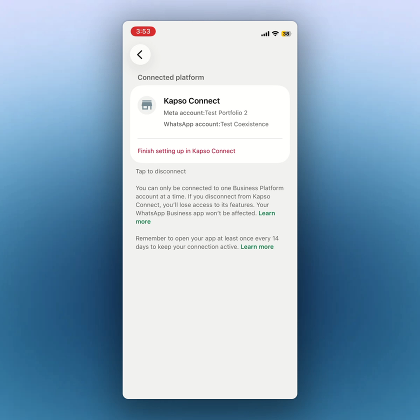 The WhatsApp Business App shows Kapso as the connected platform.