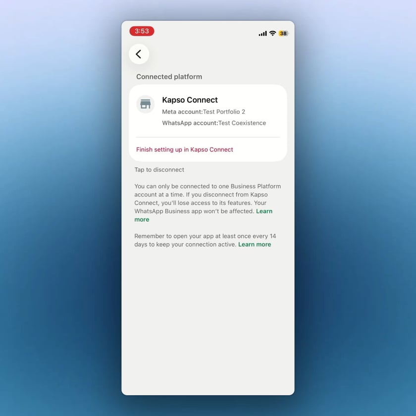 The WhatsApp Business App shows Kapso as the connected platform.