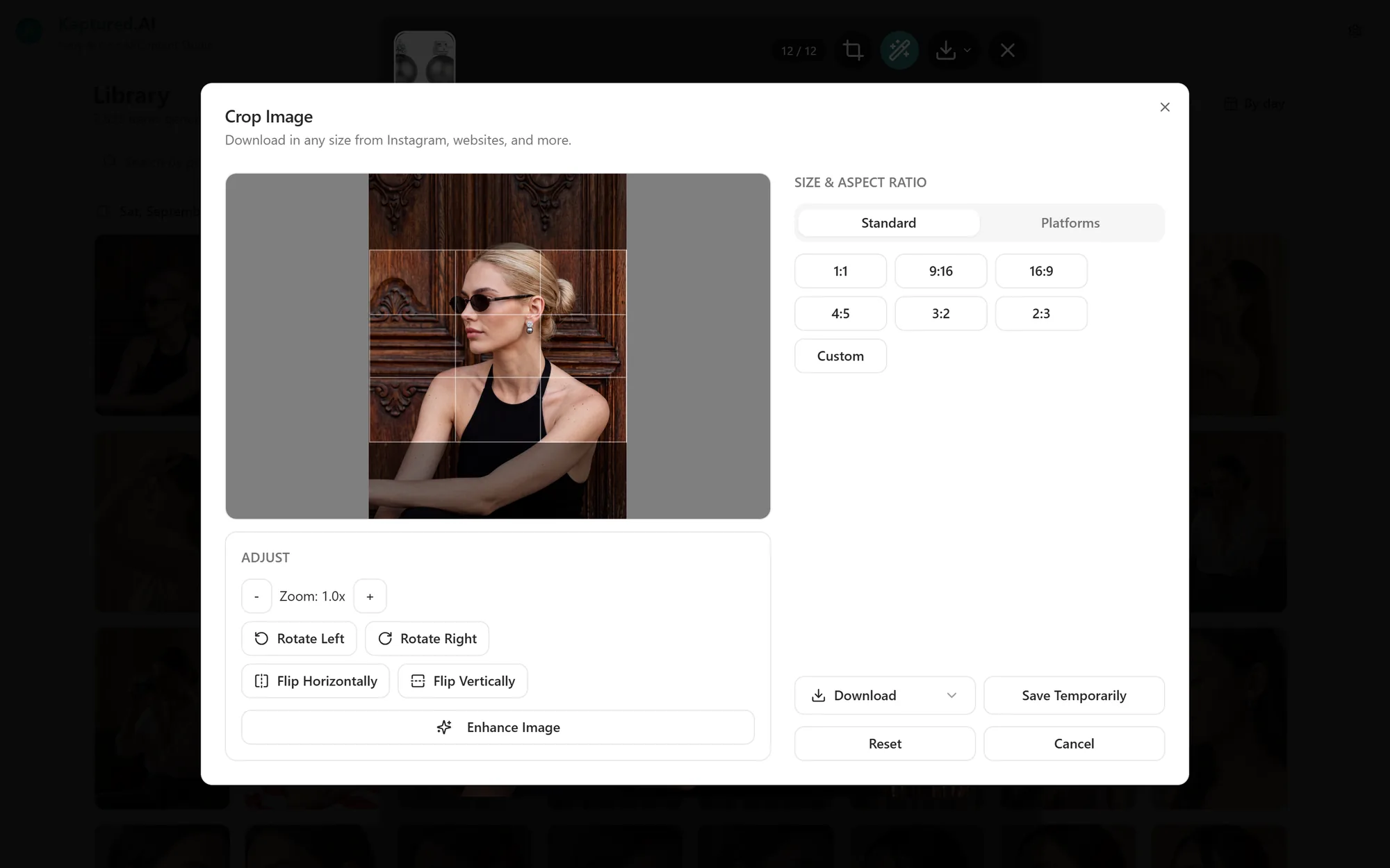 Crop Image dialog with the crop box, aspect ratio options, platform sizes and Download button