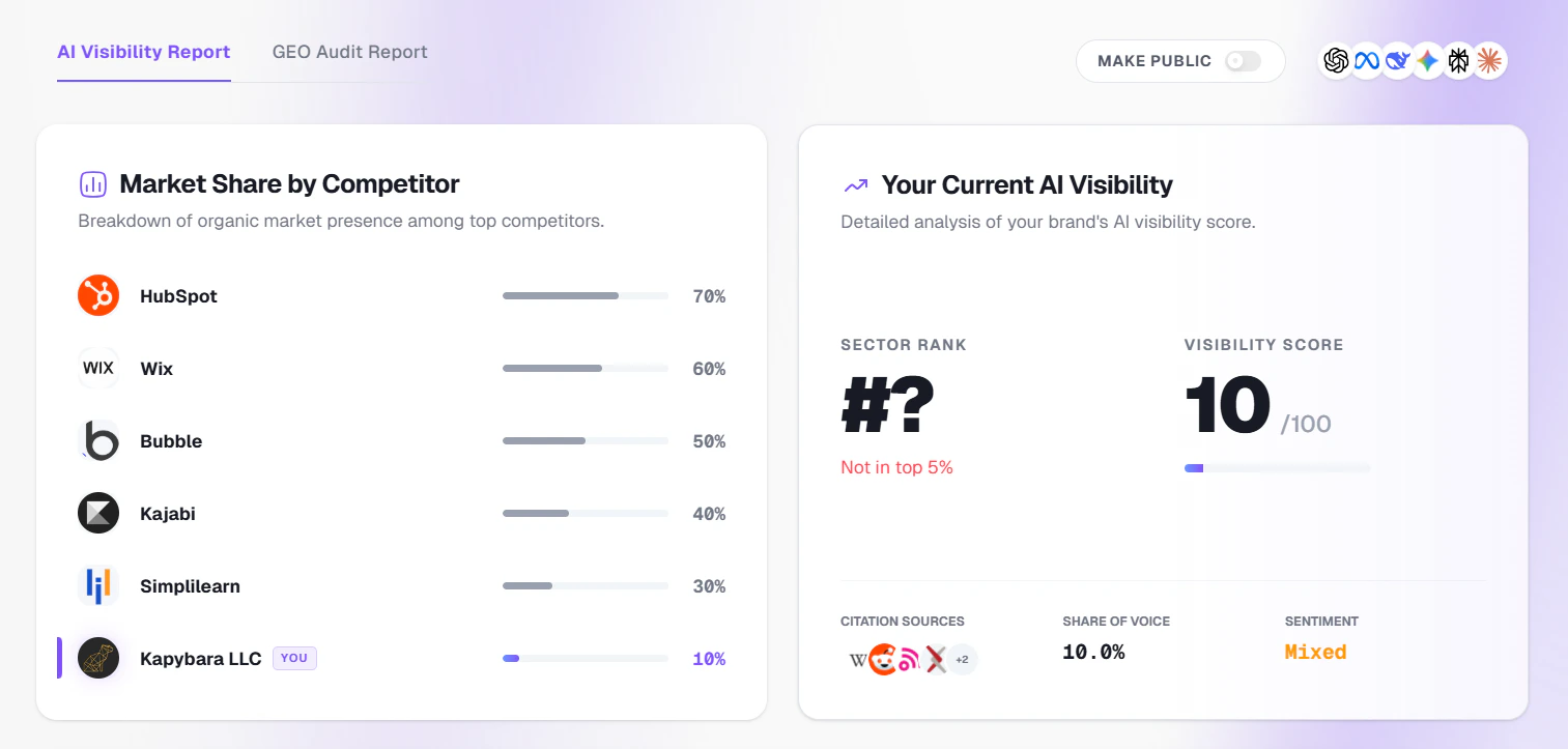AI Visibility Report