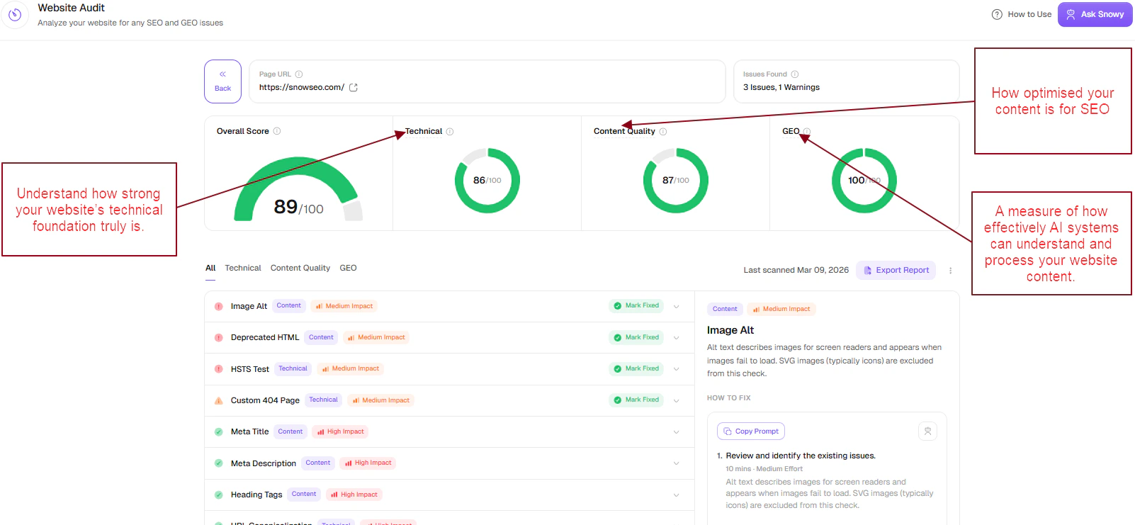 Full Website Audit Results Dashboard